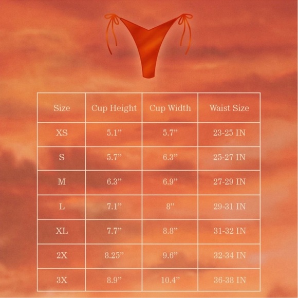 Voight by Valentina Elektra Triangle Bikini Top - Picture 3 of 5